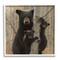 Stupell Industries Black Bear and Cubs Soft Birch Tree Forest Framed Wall Art
